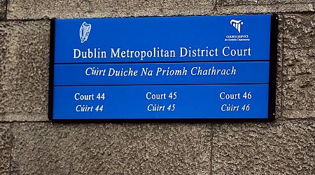 Four men charged with public order offences following asylum protest in Carrickmines