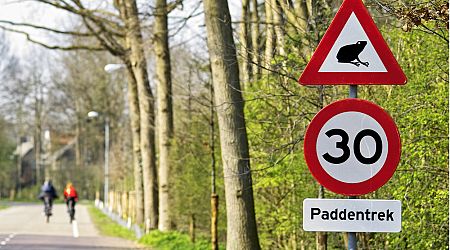 Rotterdam to slash speed limit to 30 kph on more roads
