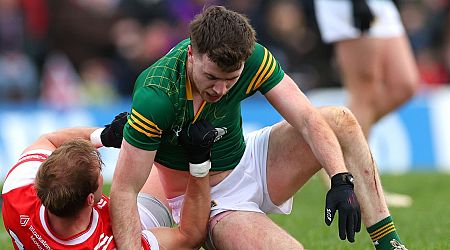 Louth v Meath TV and stream information, throw-in time, tickets, betting odds and more