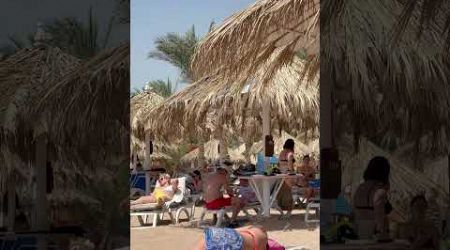 Sharm El Sheikh Beach Summer Holiday -Greece Hot Day #beach