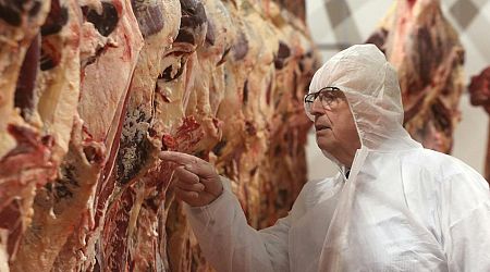 Nederlands vlees leidt tot boerenprotesten op Cyprus