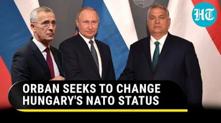 Pro-Putin Hungary Looks For Loophole In NATO&#39;s Ukraine Policy | &#39;Russia Won&#39;t Swallow West&#39;