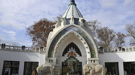 Breathtaking Butterfly Garden Awaits Visitors at Budapest Zoo