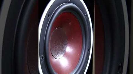Dali Zensor Speaker Bass Test