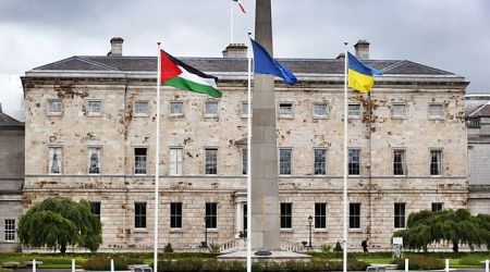 Man arrested climbing railings of Leinster House allegedly attempting to remove Palestinian flag