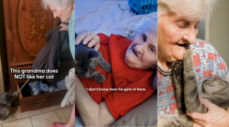 'I don't like him, I do this to everybody': Wholesome Grumpy Grandma Claims to "Hate" Her Cat, But This Purrfectly Adorable Video Shows That She's in Complete Denial