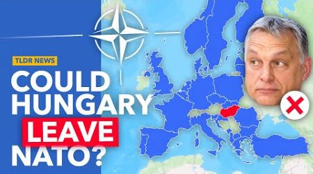Why Orban Wants to &quot;Redefine&quot; Hungary&#39;s NATO Membership