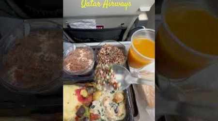 What I Ate On My Flight | Qatar Airways | Sweden To Kochi | Denmark To India Flight | Copenhagen