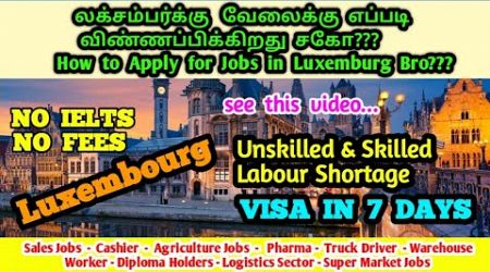 || How to apply for jobs in Luxemburg by Government Job Portals ||