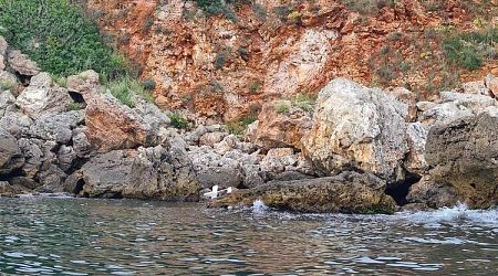 Drone Found on Rocks near Bulgarian Coastal Village, Defence Ministry Said It Was not Military