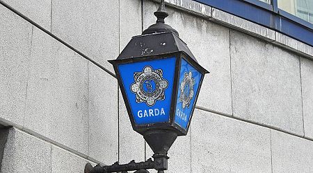 Man (20s) charged in connection with alleged stalking of female politician in west of Ireland