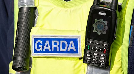 Warning issued to the public after cash stolen by 'man impersonating a garda' in Laois