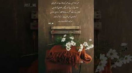 #urdupoetry #ainawrites #poetry #quotes #love #urdu #meharb #musicgenre #unfrezzmyaccount #urduaesth