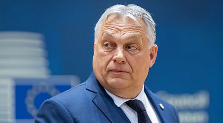 Hungarian PM vows action against hefty EU fine