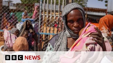 UN Security Council demands end to Sudan&#39;s city siege | BBC News