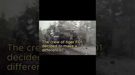 Tiger vs Comet 1945 #sweden #t34tank #militaryvehicles #history #ww2 #tanks #automobile #ww2tanks