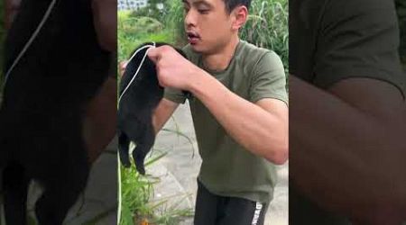 Misunderstanding the owner of the puppy # puppy # emotional # animal # shorts