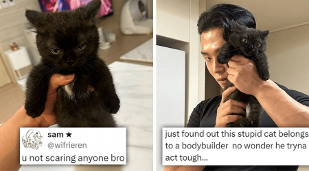 Totally Intimidating Awwdorable Black Kitten And Her Equally Handsome Bodybuilder Owner That Cats And Their Owners Really Do Match Purrfectly