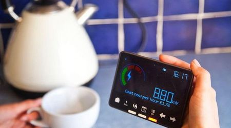 Five per cent of households refuse to have smart meters in their homes