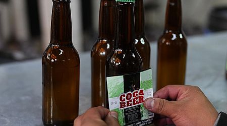 Bolivia's Challenge: Get World to Drink Coca-Infused Beer