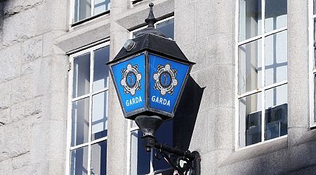 Gardai charge 14 people as part of criminality and money laundering operation in Dublin