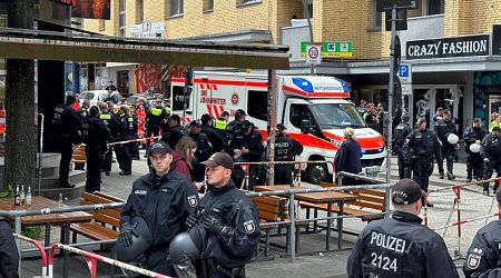 Hamburg police shoot man wielding small axe ahead of Euro 2024 game