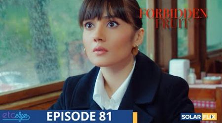 Forbidden Fruit Episode 81 | FULL EPISODE | TAGALOG DUB | Turkish Drama