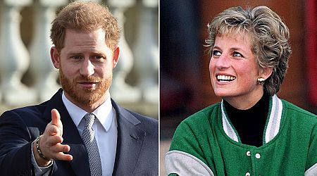 Prince Harry reveals heartbreaking gift he was given when Princess Diana died