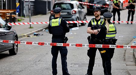 Euro 2024: Hamburg police fire shots at axe-wielding person at fan parade