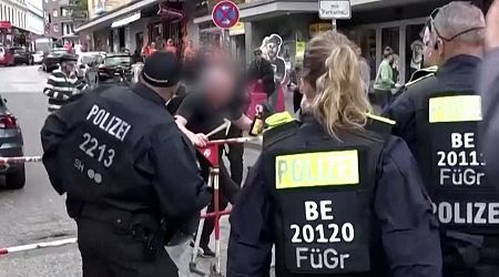German police shoot axe-wielding suspect before Euro 2024 match in Hamburg