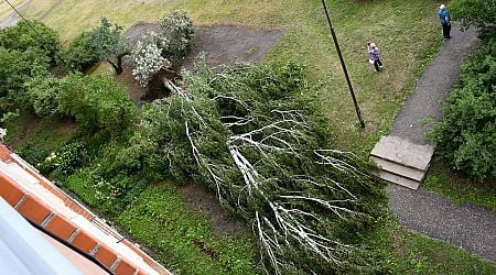 Daugavpils hit hard by Wednesday's storm