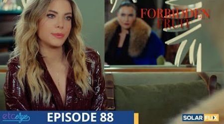 Forbidden Fruit Episode 88 | FULL EPISODE | TAGALOG DUB | Turkish Drama