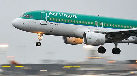 Summer chaos as up to 8,000 Aer Lingus passengers face flight cancellations