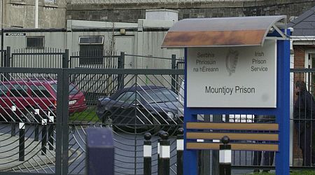 Up to 19 criminal gangs operating behind bars in Irish prisons with 104 inmates listed as involved 