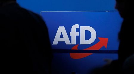 Far-right AfD politicians attacked in two locations in Germany