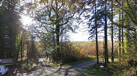 Male teenager arrested in relation to assault of a woman while she walked forest trail in Cork