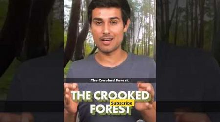 Poland crooked Forest #dhruvrathee #forest #dhruvratheeshorts