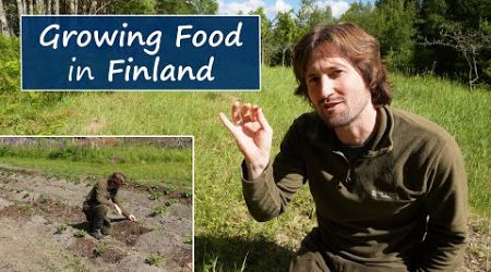 Growing Food in Freezing Finland | My First Year