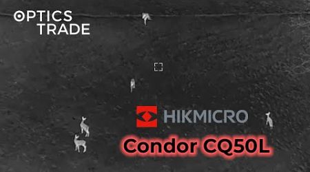 Deer with Hikmicro Condor CQ50L | Optics Trade See Through