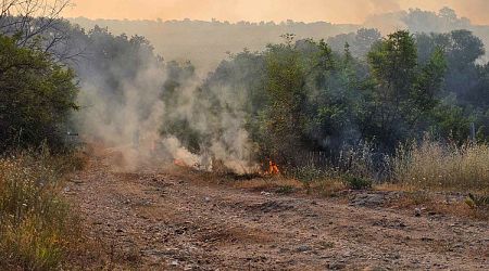 Wildfires in Turkiye Increase Fivefold in June Y/Y