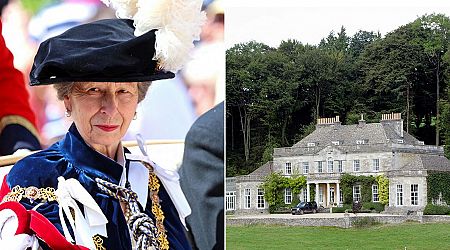 Princess Anne in hospital with injuries after 'incident' at royal estate
