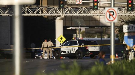 Shooting spree leaves 5 dead in U.S. Nevada