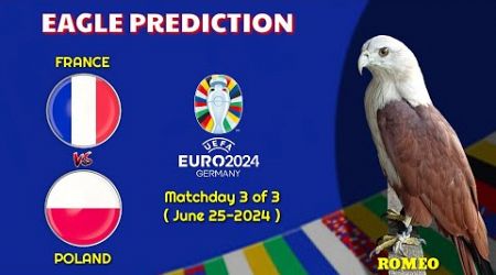 UEFA EURO 2024 PREDICTIONS | France vs Poland | Eagle Prediction