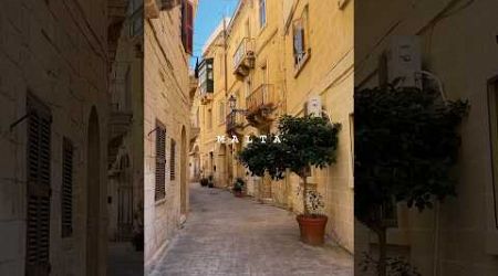 Most beautiful places in Malta #malta #fy #europe #travel #traveltips #fyp
