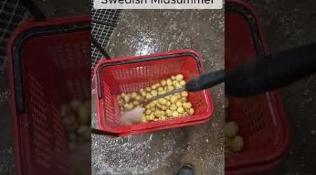 Prepping potatoes for Swedish mid summer #shorts