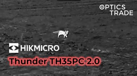 Fox with Hikmicro Thunder TH35PC 2.0 | Optics Trade See Through