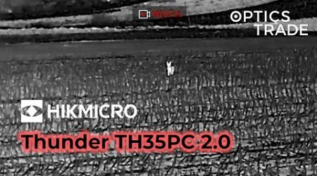 Foxes with Hikmicro Thunder TH35PC 2.0 | Optics Trade See Through