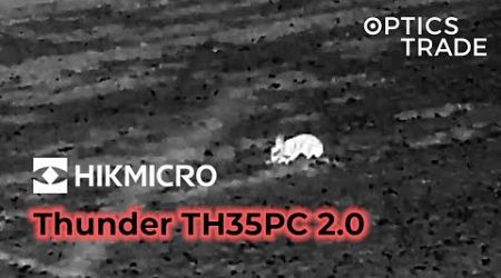 Rabbit with Hikmicro Thunder TH35PC 2.0 | Optics Trade See Through