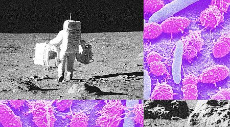 Pooping on the Moon Is a Messy Business