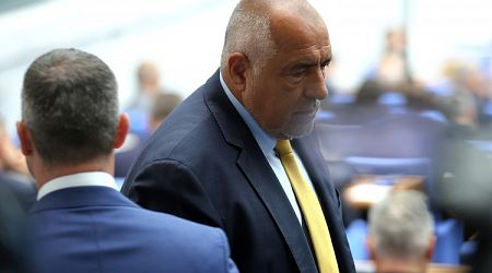 Borissov to Propose All-GERB Government, Refuses Support from Individual MPs from Other Parties